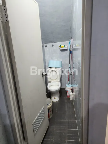 image RUKO ALIBABA BOTANIA (5)