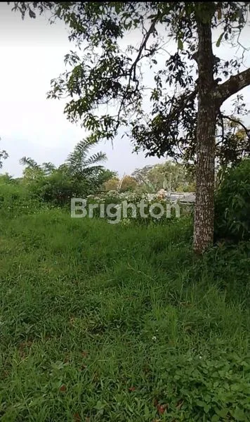 image TANAH DATAR SHM BERHADAPAN DENGAN WISATA NEW CELOSIA BANDUNGAN (4)