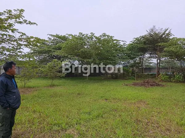 image LAHAN MURAH MERIAH, KAVLING, CIAPUS TAMANSARI BOGOR (2)