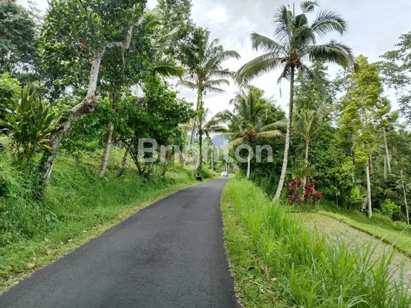 image TANAH MURAH DEKAT JATILUWIH (8)