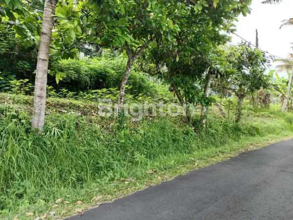 image TANAH MURAH DEKAT JATILUWIH (2)