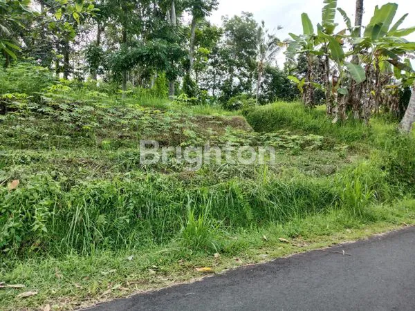 TANAH MURAH DEKAT JATILUWIH