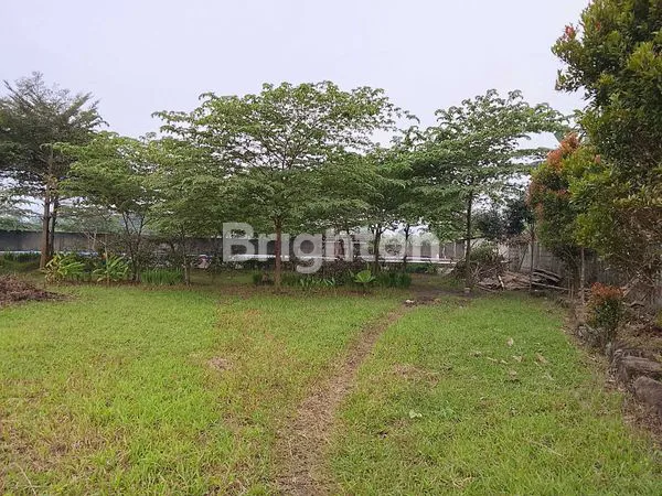 image SERIUS,.MURAH MERIAH,VIEW GUNUNG SALAK, CIAPUS BOGOR (7)