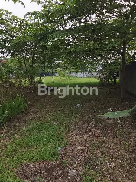 image SERIUS,.MURAH MERIAH,VIEW GUNUNG SALAK, CIAPUS BOGOR (4)