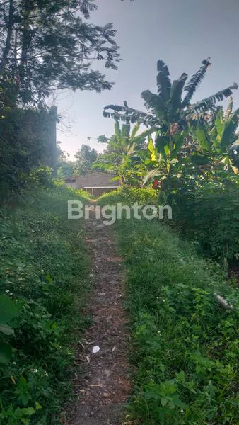 image TANAH BAGUS LOKASI STRATEGIS DI  KAWASAN ELIT SEMARANG ATAS (1)