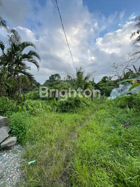 Gambar Property DIJUAL TANAH 3000 M2 KEBUN AGUNG