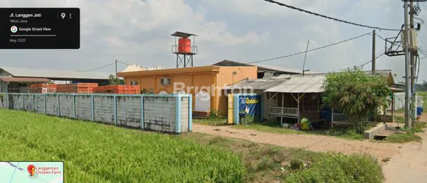 PETERNAKAN AYAM KARAWANG