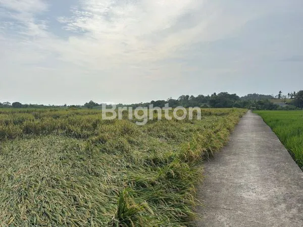 image TANAH PROSPECT DI TABANAN AKAN DIBANGUN SKYDIVE BALI DISINI (4)