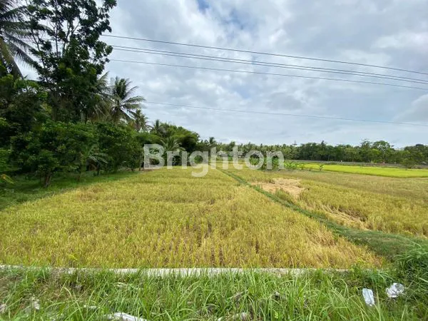 INVESTASI MENGUNTUNGKAN TANAH KOSONG PINGGIR JALAN NASIONAL WATES PURWOREJO