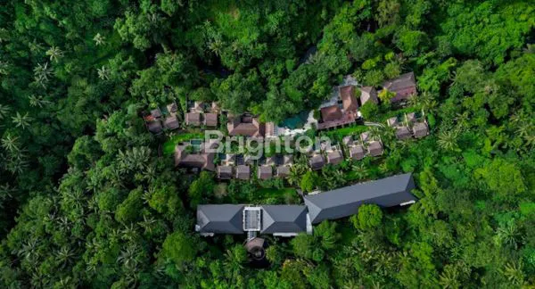 image DIJUAL BUC MURAH HOTEL RESORT N SPA DI UBUD BALI (4)