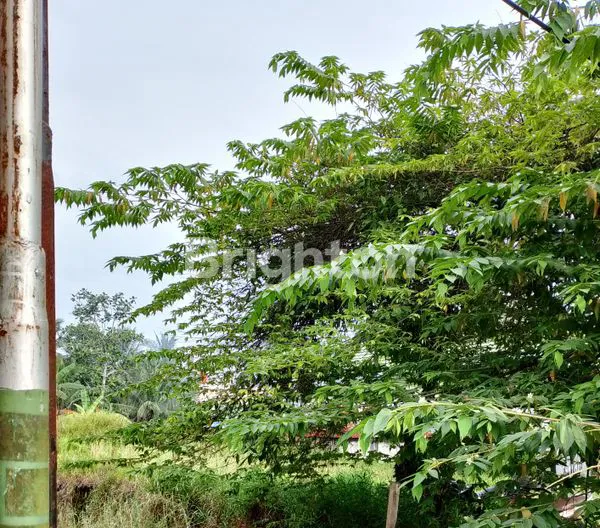 Gambar Property TANAH TEPI JALAN