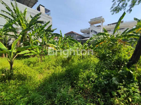 image TANAH LANGKA DI KUTA (5)