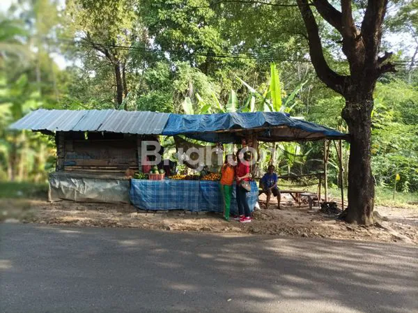 image  TANAH KAVLING UNTUK RUKO (2)