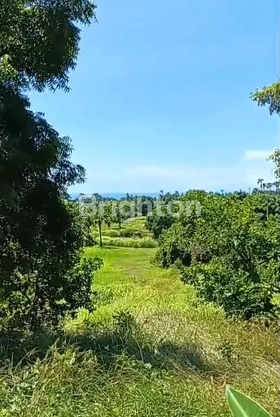 image TANAH VIEW BUKIT DAN LAUT DI AMED KARANGASEM  (2)
