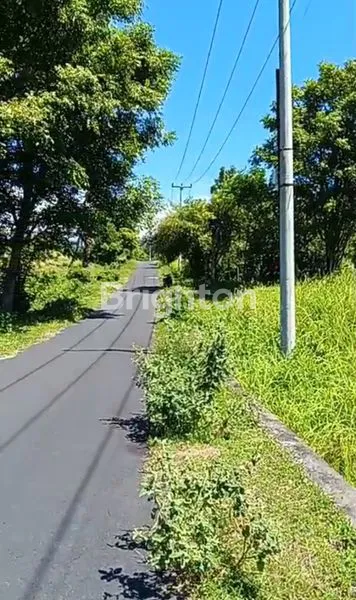 image TANAH VIEW BUKIT DAN LAUT DI AMED KARANGASEM  (6)