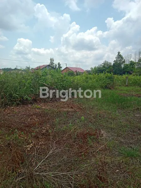 image DIJUAL TANAH MURAH JL HANGTUAH UJUNG DEKAT SIMPANG JL HARAPAN RAYA (2)