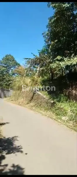 image MURAH MERIAH, CENGAL LEUWILIANG BOGOR BARAT (4)