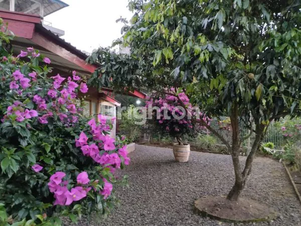 image RUMAH NYAMAN UNTUK MASA TUA DI KOPENG (1)