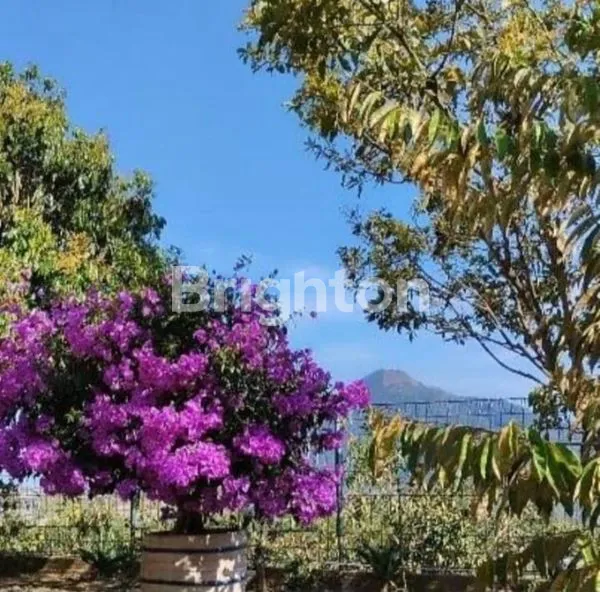 image RUMAH NYAMAN UNTUK MASA TUA DI KOPENG (6)