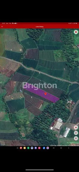 image DIJUAL SAWAH AKTIF SELUAS 44,70 ARE DI DESA SINGIN SELEMADEG BARAT TABANAN  (3)