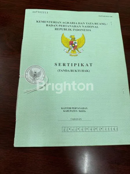 image DIJUAL SAWAH AKTIF SELUAS 44,70 ARE DI DESA SINGIN SELEMADEG BARAT TABANAN  (4)