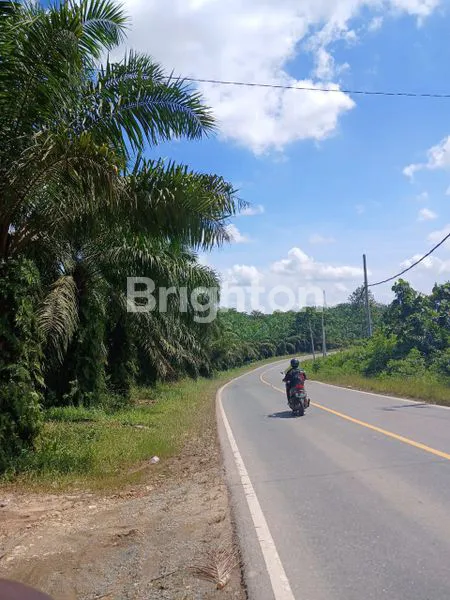 image TANAH / LAHAN KEBUN SAWIT KILO 16 LOA JANAN (1)