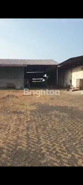 image PABRIK  DI PASURUAN JA-TIM (1)