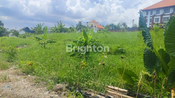 image LAND FOR LEASE IN STRATEGIC LOCATION – PERERENAN, CANGGU | 8 ARE (2)