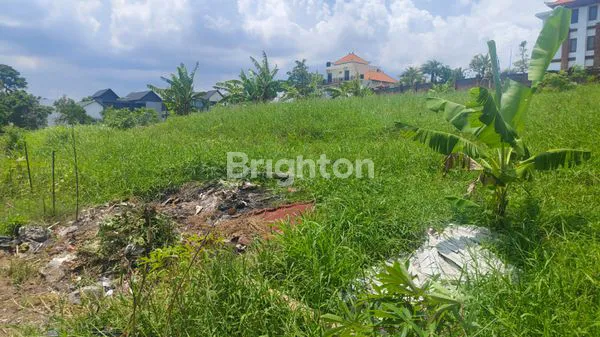 image LAND FOR LEASE IN STRATEGIC LOCATION – PERERENAN, CANGGU | 8 ARE (3)