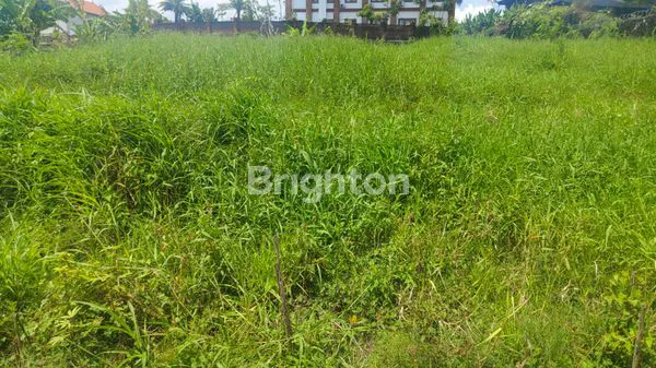 image LAND FOR LEASE IN STRATEGIC LOCATION – PERERENAN, CANGGU | 8 ARE (1)