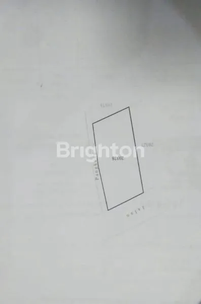 image JUAL TANAH STRATEGIS 4,5 ARE JALAN UTAMA KAMPUS UNUD JIMBARAN (4)