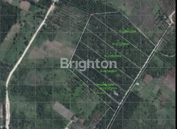 image INVESTASI YANG MENARIK, KEBUN SAWIT DI JALAN UTAMA LINTAS GARUDA SAKTI KM 10,5 (4)