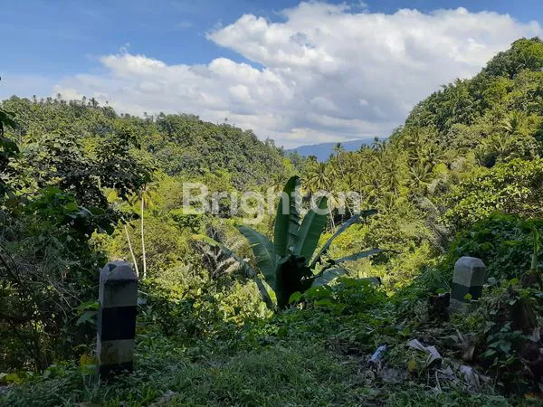 JUAL TANAH DIPINGGIR JALAN RAYA AIRMADIDI TONDANO MANADO