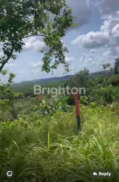 image DIJUAL TANAH SHM PINGGIR JALAN KARIANGAU LEBIH DARI 1 HA. RATA DENGAN JALAN (1)