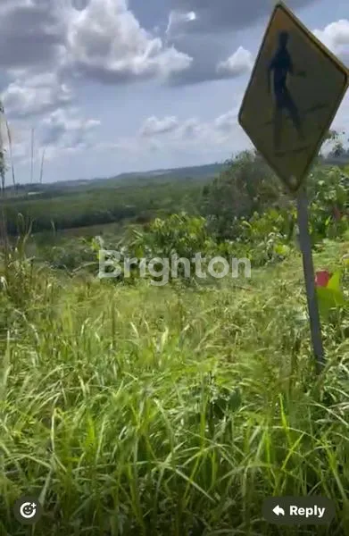 image DIJUAL TANAH SHM PINGGIR JALAN KARIANGAU LEBIH DARI 1 HA. RATA DENGAN JALAN (3)