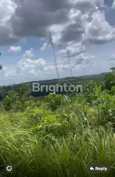 image DIJUAL TANAH SHM PINGGIR JALAN KARIANGAU LEBIH DARI 1 HA. RATA DENGAN JALAN (4)