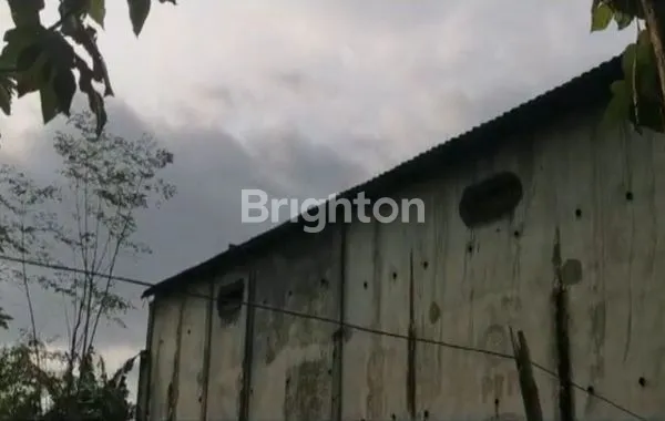 GEDUNG BURUNG WALET DI BANGSALSARI JEMBER