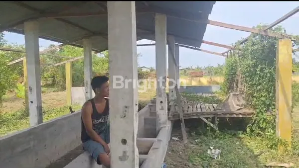 image TANAH LUAS SAMPALI MEDAN (6)