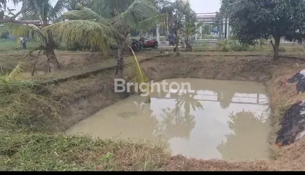 image TANAH LUAS SAMPALI MEDAN (2)