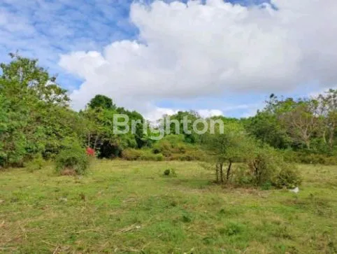 image DIJUAL TANAH GLOBAL AREA STRATEGIS JIMBARAN (1)