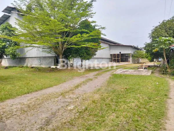 image GUDANG & TANAH PATUMBAK (1)