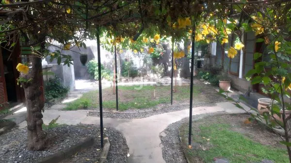 image RUMAH ASRI & LUAS 880 M² DI RENON – COCOK UNTUK HUNIAN NYAMAN DAN INVESTASI JANGKA PANJANG (7)