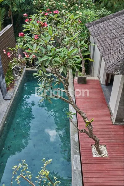 image VILLA 3BR FULLY FURNISHED DI UMALAS (6)