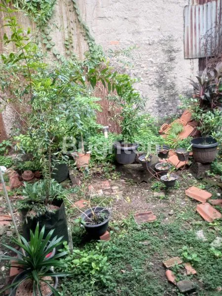 image RUMAH LUAS BENHIL (3)