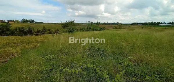 TANAH STRATEGIS 30 ARE MELILING TABANAN