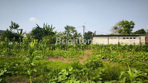 image TANAH JUAL DIBAWAH NJOP TAMBUN . BEKASI (1)