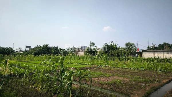 image TANAH JUAL DIBAWAH NJOP TAMBUN . BEKASI (2)