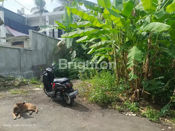 TANAH SIAP BANGUN AREA TABANAN