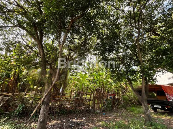 image TANAH RENON BERADA DI PUSAT KOTA RENON (1)