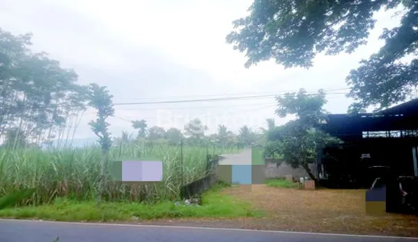 image TANAH O JALAN RAYA JALIBAR KEPANJEN MALANG (1)
